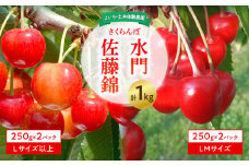 【先行予約：2025年6月下旬以降発送】さくらんぼ【佐藤錦・水門セット】1kg