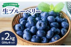 【先行予約：2025年7月中旬以降発送】生ブルーベリー2kg