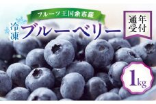 【先行予約：8月下旬以降発送】フルーツ王国余市産 冷凍ブルーベリー 1kg 【ニトリ観光果樹園】