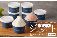 クレメリーチェのジェラート職人が厳選した素材で作るプレミアムジェラート＆ソルベ8個セット