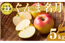 【先行受付：2025年11月上旬以降発送】余市産 ぐんま名月 松村農園産のりんご 5kg