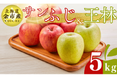 【先行受付：2025年12月下旬以降発送】余市産 ふじ＆王林 松村農園産のりんご 5kg