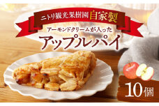 ニトリ果樹園 自家製 アップルパイ 10個