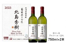 葡萄作りの匠 北島秀樹ピノ・ノワール ブラン･ド･ノワール2023 750ml 2本