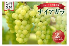 【先行予約：2025年9月中旬以降発送】フルーツ王国余市産「ナイアガラ」2kg【ニトリ観光果樹園】