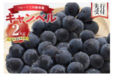 【先行予約：2025年9月中旬以降発送】フルーツ王国余市産「キャンベル」2kg【ニトリ観光果樹園】