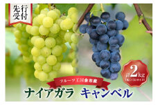 【先行予約：2025年9月中旬以降発送】フルーツ王国余市産「ナイアガラ・キャンベル」2kg【ニトリ観光果樹園】