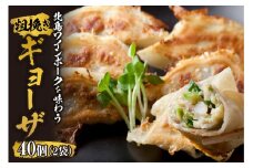 北島ワインポークを味わう 粗挽きギョーザ 行者にんにく入り（1袋20ケ入り）×2袋