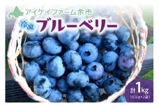 冷凍ブルーベリー 500g×2袋（チャック付き袋）【アイケイファーム余市】