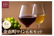【余市町感謝祭2024】lot21　余市町ワイン6本セット