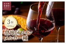 【余市町感謝祭2024】lot24　登地区ワインメルロー種3本セット
