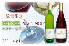 ケルナー2023年＆ピノノワール2023年 750ml× 各1本 セット ギフト【数量限定】赤ワイン 白ワイン 辛口 北海道産