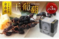 【ギフトボックス】余市産完全無添加干し葡萄DIONYSOS 3箱セット