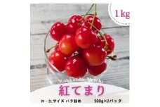 【先行予約2025年7月より発送】＜北海道余市産＞さくらんぼ「紅てまり」（M～2Lサイズバラ詰め）500ｇ×２パック