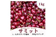 【先行予約2025年7月より発送】＜北海道余市産＞さくらんぼ「サミット」（L～3Lサイズバラ詰め）500g×2パック