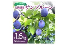 【先行予約：2025年9月中旬以降発送】北海道産サンプルーン1.6kg