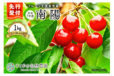 2025年発送【先行予約】令和7年産 南陽【Ｌ～2Lサイズ】1Kg【すこやか自然農園】