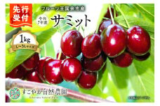 2025年発送【先行予約】令和7年産 サミット【Ｌ～3Lサイズ】1Kg【すこやか自然農園】