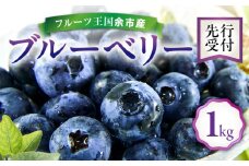 【先行予約：8月上旬以降発送】フルーツ王国余市産 生ブルーベリー 1Kg【ニトリ観光果樹園】