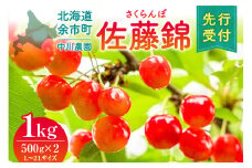 2025年発送【先行予約】令和7年産 さくらんぼ 佐藤錦【L～2Lサイズ】500g×2 【合同会社中川農園】