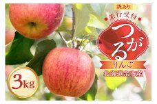 【先行予約2025年9月下旬より発送】＜北海道余市産＞訳アリ りんご（つがる）3kg