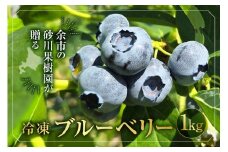 余市の砂川果樹園が贈る 冷凍ブルーベリー1Kg