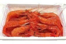 【獲れたての味！】甘エビ３００ｇ×３パックセット