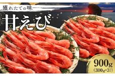 【獲れたての味！】甘エビ３００ｇ×３パックセット