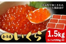 余市産 いくら 500g × 3 1.5kg  北海道産 冷凍 鮭いくら 冷凍いくら いくら醤油漬け 化粧箱 贈り物 ギフト 秋鮭 秋鮭の卵 とろける食感 はじける食感 北海道 余市町 