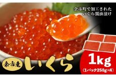 余市産 いくら 500g × 2 1kg 北海道産 冷凍 鮭いくら 冷凍いくら いくら醤油漬け 化粧箱 贈り物 ギフト 秋鮭 秋鮭の卵 とろける食感 はじける食感 北海道 余市町 