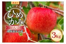 【先行予約：2025年10月上旬より発送】訳アリ りんご（ひめかみ）3kg【北海道余市町産】