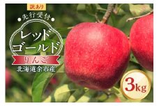 【先行予約：2025年10月中旬より発送】訳アリ りんご（レッドゴールド）3kg【北海道余市町産】