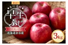 【先行予約：2025年10月中旬より発送】訳アリ りんご（早生ふじ）3kg【北海道余市町産】