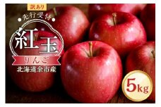 【先行予約：2025年10月中旬より発送】訳アリ りんご（紅玉）5kg【北海道余市町産】