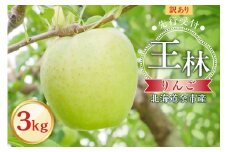 【先行予約：2025年10月下旬より発送】訳アリ りんご（王林）3kg【北海道余市町産】