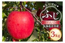 【先行予約：2025年11月上旬より発送】りんご（ふじ）3kg【北海道余市町産】