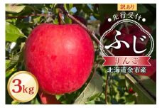 【先行予約：2025年11月上旬より発送】訳アリ りんご（ふじ）3kg【北海道余市町産】