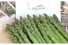 1.夏採りアスパラ：７月下旬～８月下旬