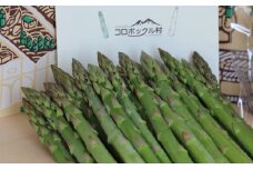2.夏採りアスパラ：８月中旬～９月上旬