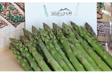 2.夏採りアスパラ：８月中旬～９月上旬