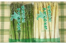 1.【850g】ＪＡ新おたるの特大アスパラ２種セット：配送５月中旬～