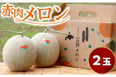 【２玉入】やなぎさわ農園の甘い赤肉メロン