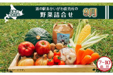 【９月発送】道の駅あかいがわ直売所の野菜詰合せ