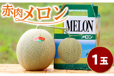 【１玉入】やなぎさわ農園の甘い赤肉メロン