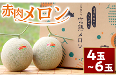 【４～６玉入】やなぎさわ農園の甘い赤肉メロン