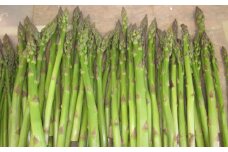 1.【不揃いグリーン６ｋｇ】新見ファームの有機アスパラ：配送５月中旬～
