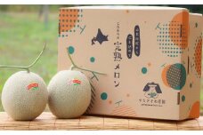 （ティアラ）【４～６玉入】やなぎさわ農園の甘い赤肉メロン