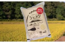 【精米２ｋｇ】石川農園ゆめぴりか（北海道赤井川村産）