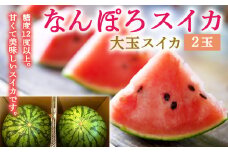 【8月発送】北海道産 なんぽろスイカ 2玉 大玉 令和7年度産 8月発送開始 南幌町 NP1-076