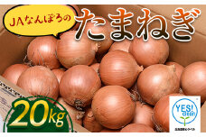 《期間限定》なんぽろたまねぎ 20kg NP1-272
